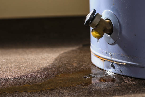 Water damage restoration experts in Rio Grande, OH