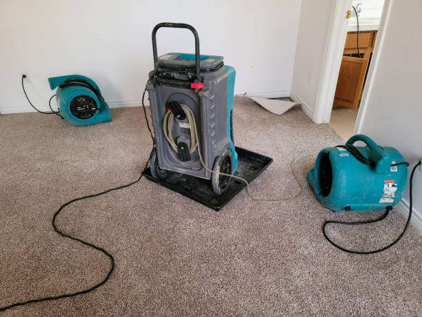Best 24-hour water damage restoration  in Rio Grande, OH
