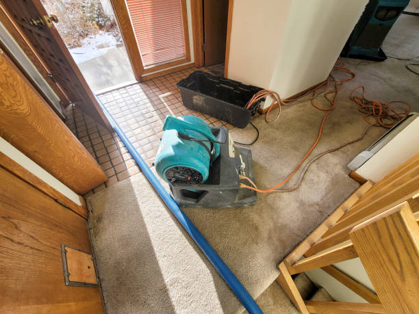 Best Residential water damage restoration  in Rio Grande, OH