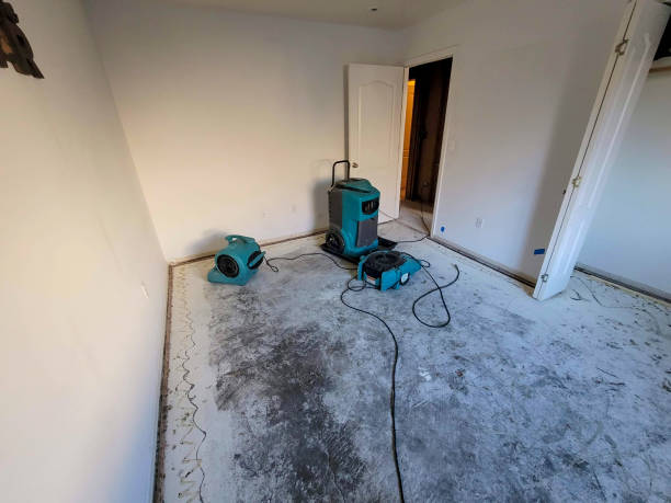 Best Local water damage restoration  in Rio Grande, OH