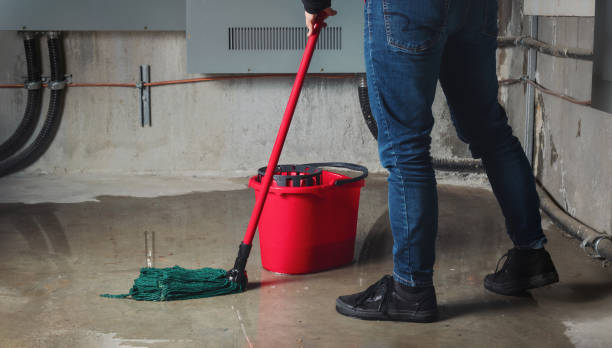 Best Water damage restoration near me  in Rio Grande, OH