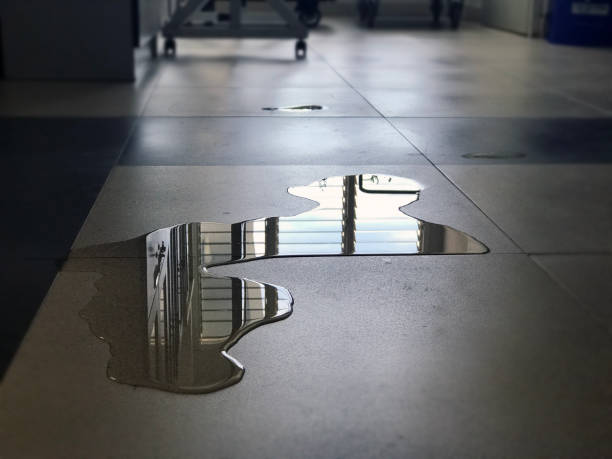 Best Water damage restoration near me  in Rio Grande, OH