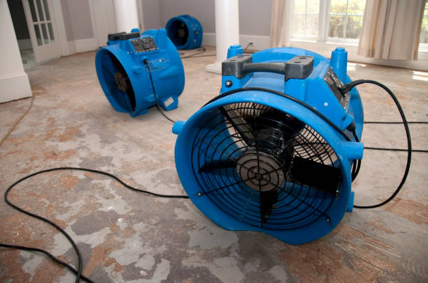 Best Carpet water damage restoration  in Rio Grande, OH