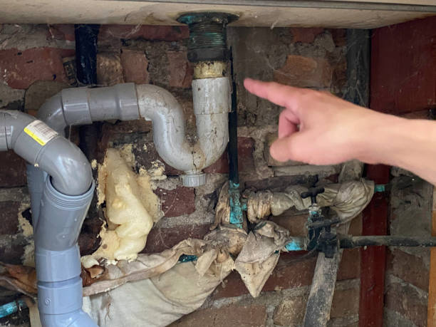 Best Water damage repair service  in Rio Grande, OH