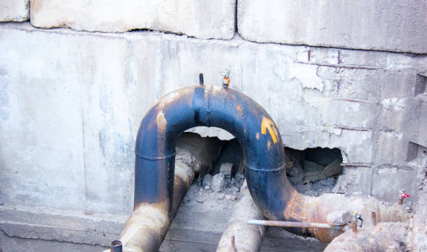 Best Mold removal after water damage  in Rio Grande, OH