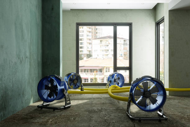 Best Professional water damage repair  in Rio Grande, OH
